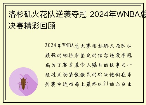 洛杉矶火花队逆袭夺冠 2024年WNBA总决赛精彩回顾 洛杉矶火花队逆袭夺冠 2024年WNBA总决赛精彩回顾