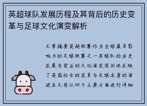 英超球队发展历程及其背后的历史变革与足球文化演变解析