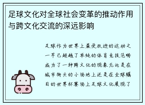 足球文化对全球社会变革的推动作用与跨文化交流的深远影响